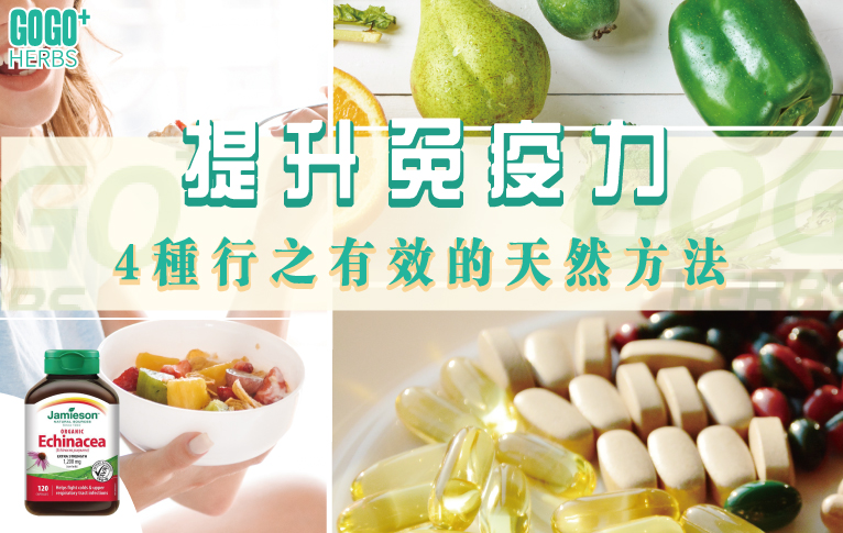 Gogoherbs 提升免疫力方法