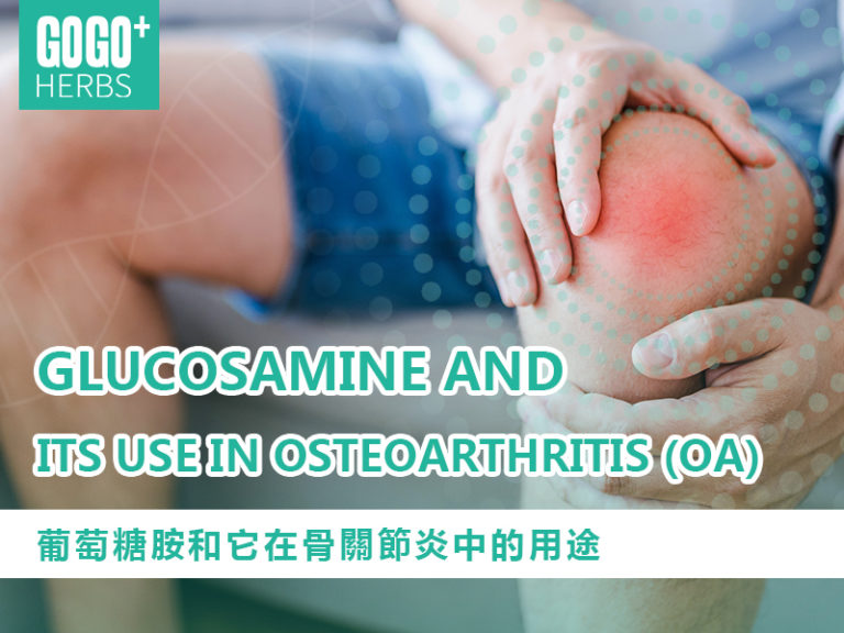Glucosamine and Its Use in Osteoarthritis (OA)