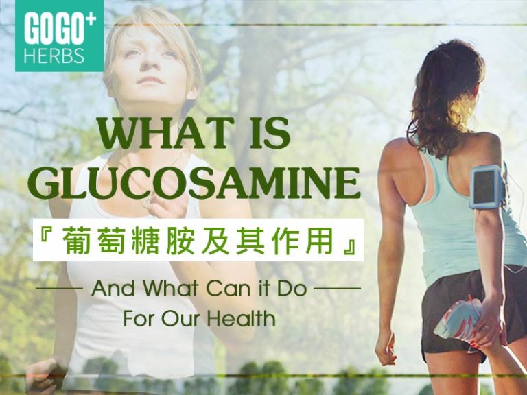 Glucosamine and What It Does Gogo Herbs