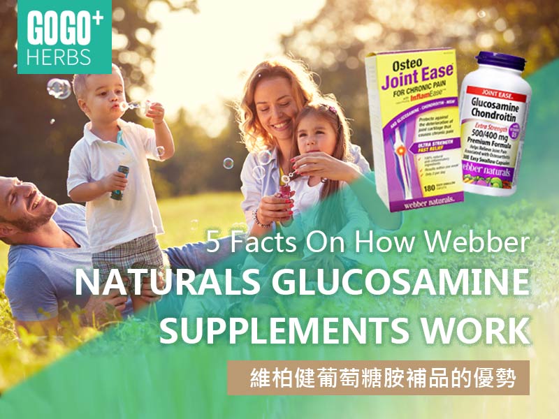 Benefits of Weber Glucosamine Supplements