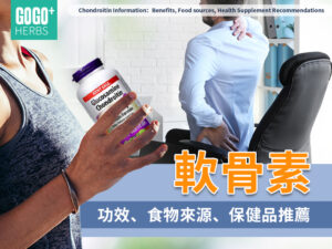 軟骨素:功效、食物來源、保健品推薦