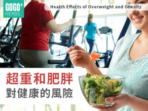 肥胖對健康的風險