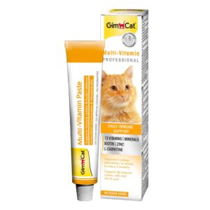 Gimborn – 專業複合維他命膏|牛奶味 50克