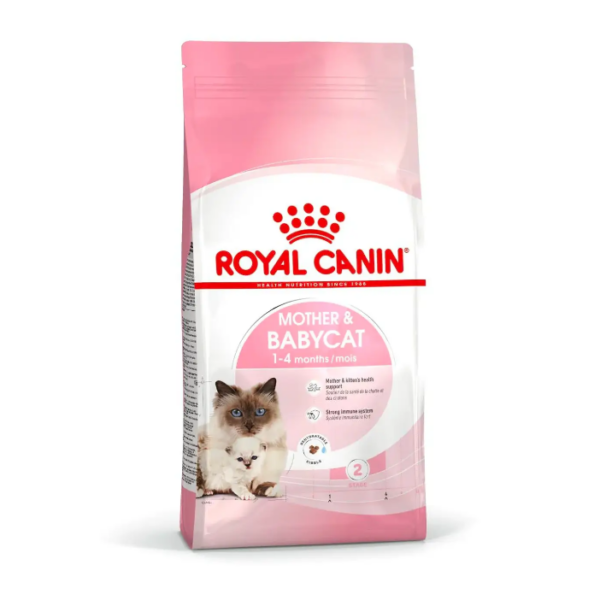 Royal – Nutritional formula for weaned kittens and mother cats BA34 2kg/4kg/10kg