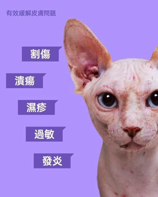 HICC Pet® – 寵物皮膚護理噴霧 100 / 500毫升 - 影像 4