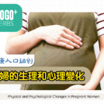 孕婦的生理和心理變化