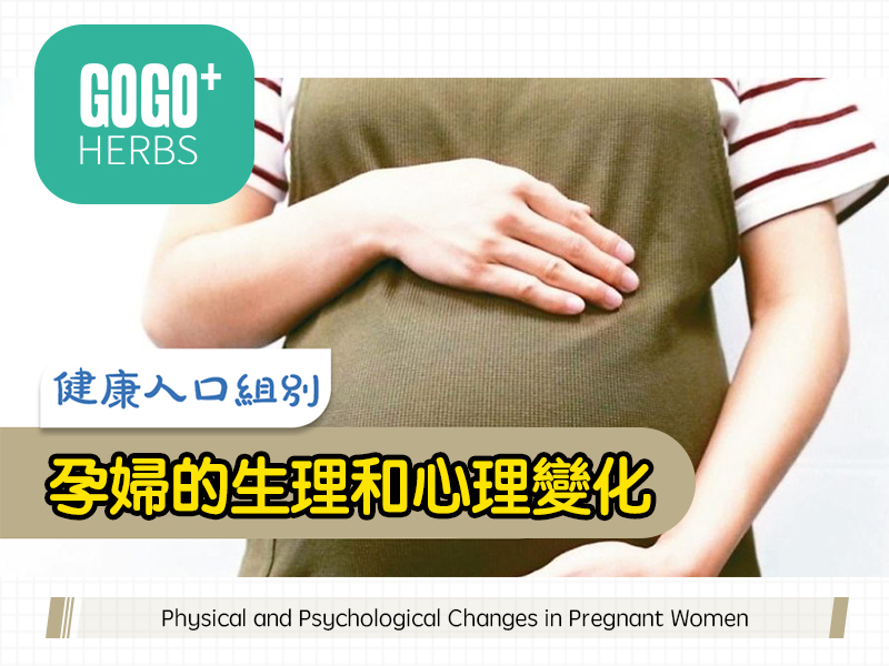 孕婦的生理和心理變化