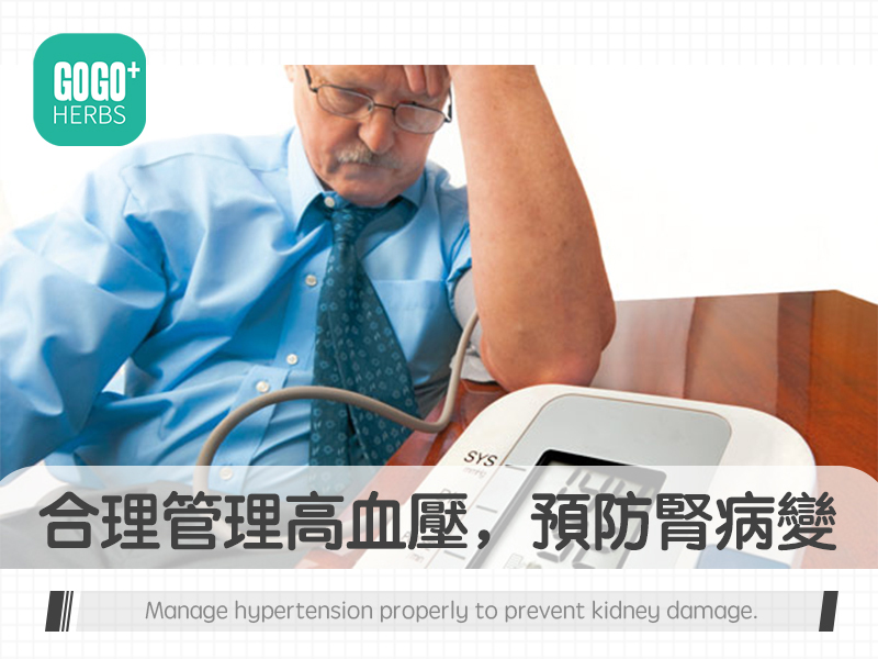 合理管理高血壓，預防腎病變