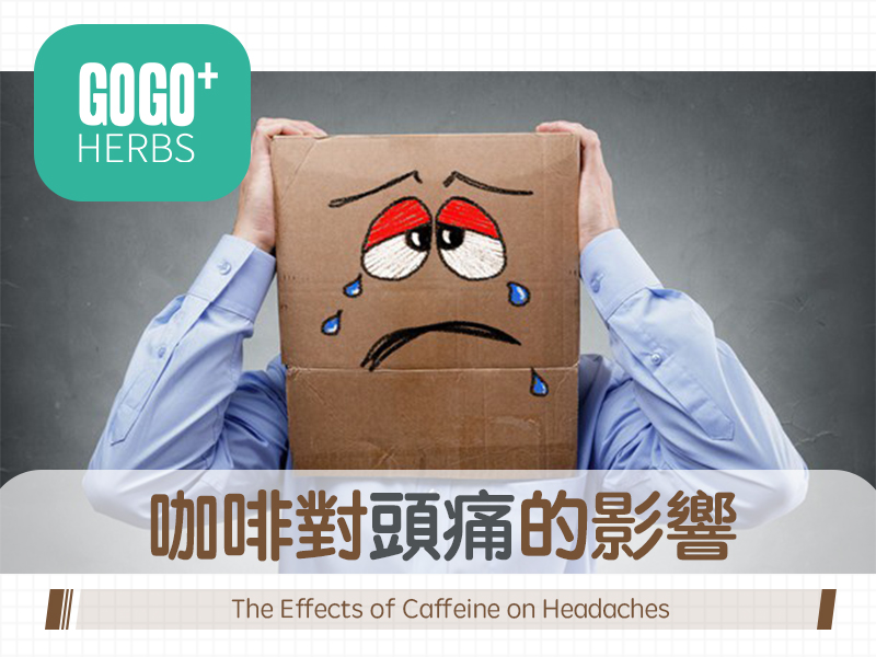 咖啡對頭痛的影響