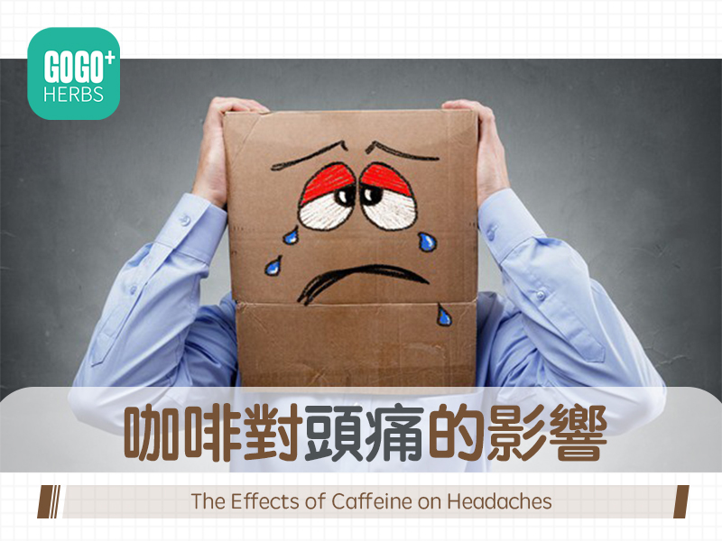 咖啡對頭痛的影響