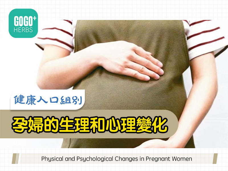 孕婦的生理和心理變化