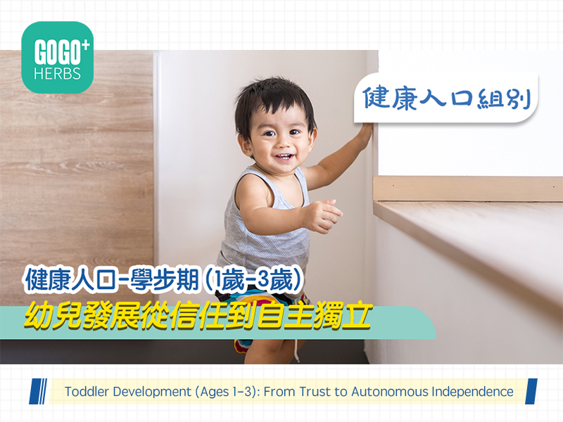 學步期 (1歲-3歲)幼兒發展從信任到自主獨立