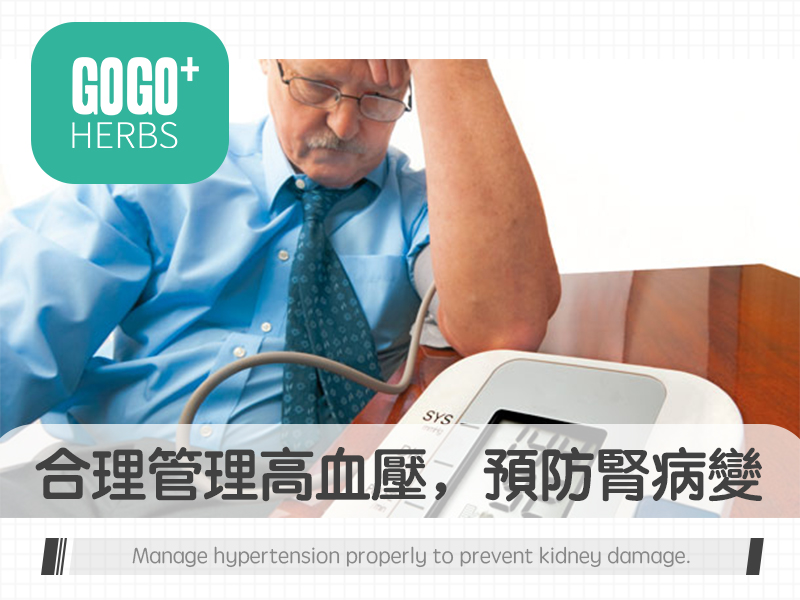 合理管理高血壓，預防腎病變