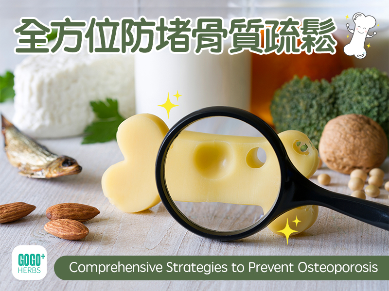 Comprehensive Strategies to Prevent Osteoporosis