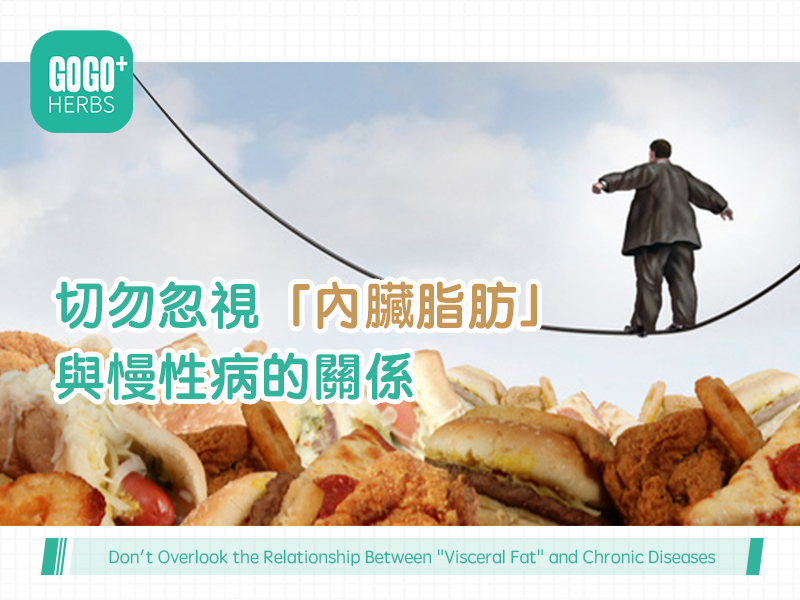 Don't Overlook the Relationship Between "Visceral Fat" and Chronic Diseases