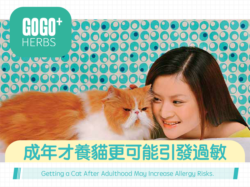 Keeping a Cat After Adulthood May Increase Allergy Risks.