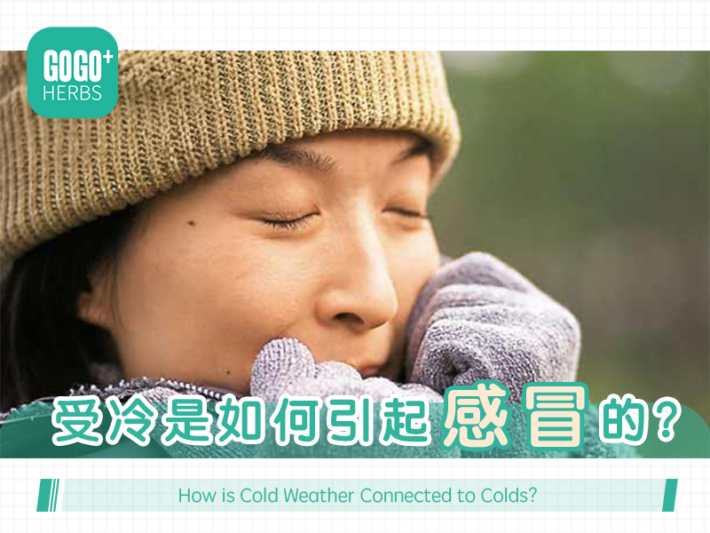受冷是如何引起感冒的？