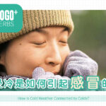 受冷是如何引起感冒的？
