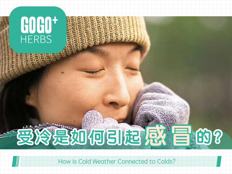 受冷是如何引起感冒的？
