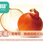 洋蔥│防骨鬆、降膽固醇大功臣！