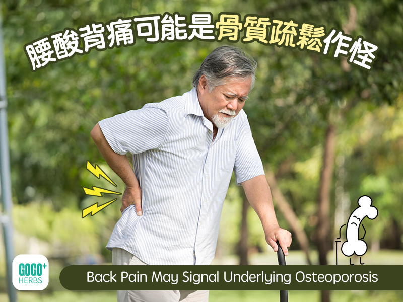 腰酸背痛可能是骨質疏鬆作怪