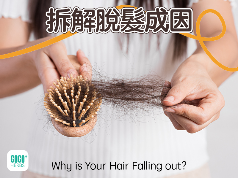 Why is Your Hair Falling out? 