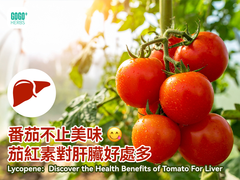 Lycopene：Discover the Health Benefits of Tomato For Liver