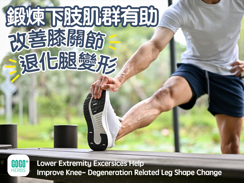 Lower Extremity Excersices Help  Improve Knee- Degeneration Related Leg Shape Change