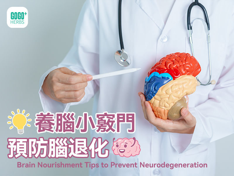 Brain Nourishment Tips to Prevent Neurodegeneration