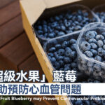 「超級水果」藍莓有助預防心血管問題