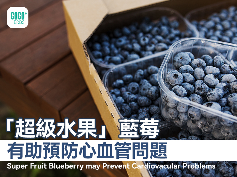 「超級水果」藍莓有助預防心血管問題