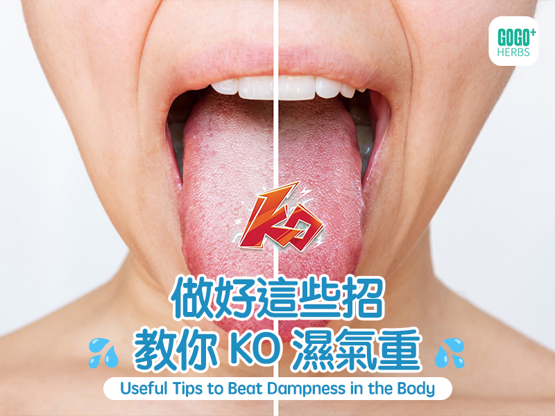 做好這些招教你KO濕氣重