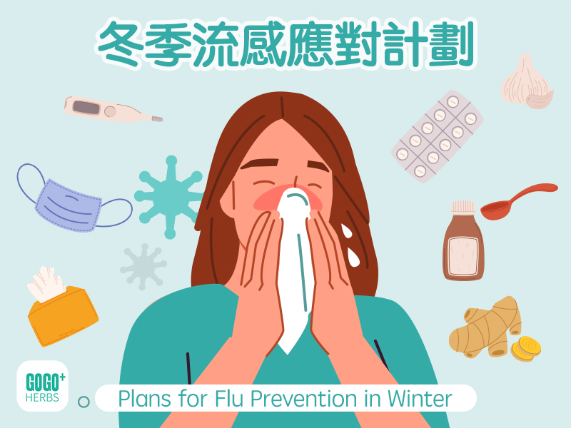 冬季流感應對計劃
