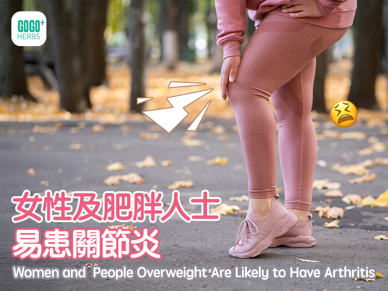 女性及肥胖人士易患關節炎