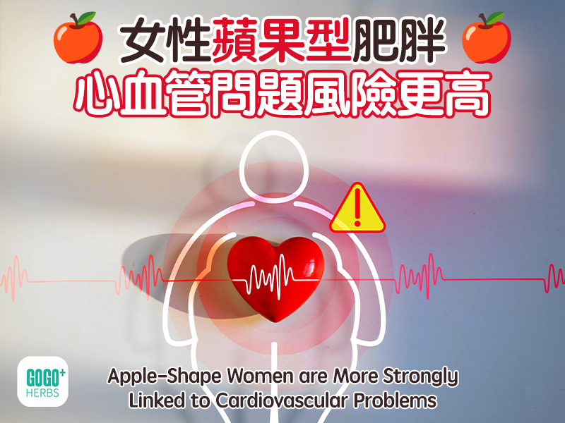 女性蘋果型肥胖,心血管問題風險更高