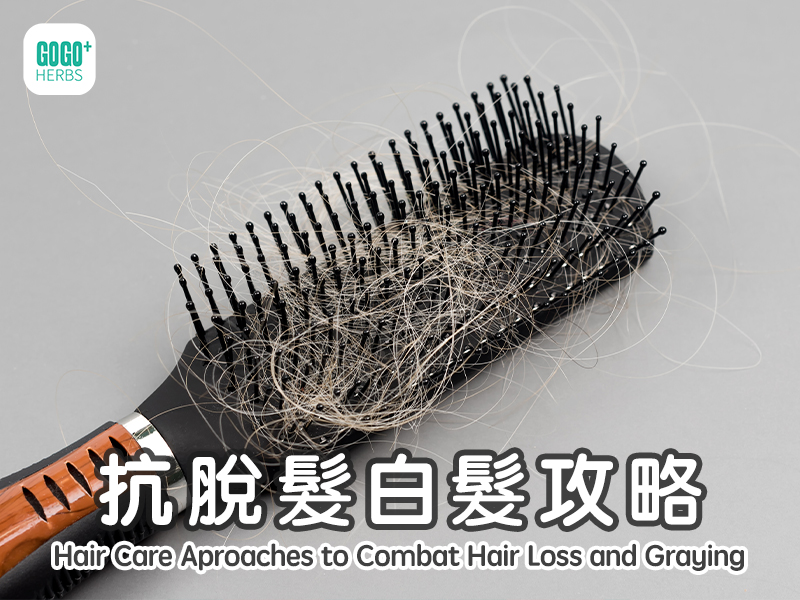 抗脫髮白髮攻略