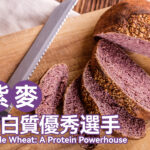 紫麥：蛋白質優秀選手