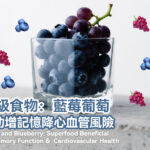 超級食物：藍莓葡萄有助增記憶降心血管風險