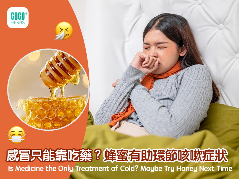 Probiotics, Honey, and Garlic Aid in Destroying Helicobacter Pylori Bacteria