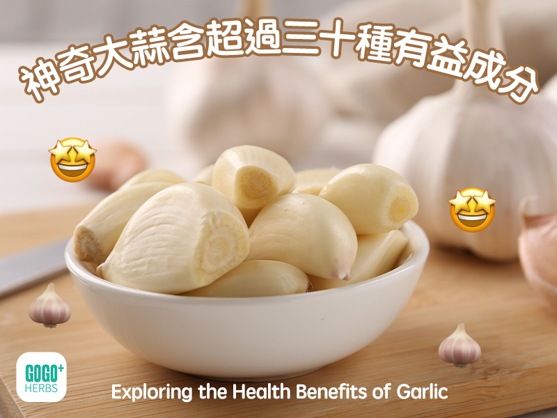 Exploring the Health Benefits of Garlic