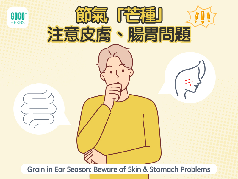 節氣「芒種」注意皮膚、腸胃問題
