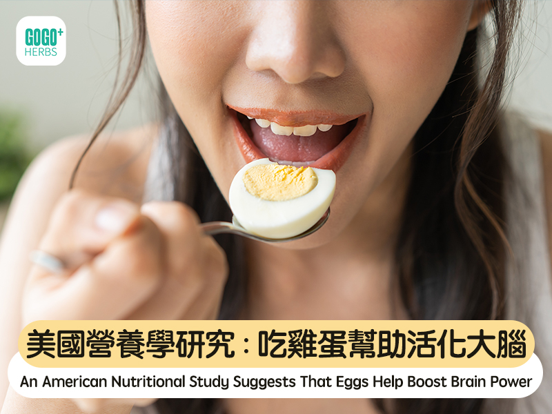 An American Nutritional Study Suggests That Eggs Help Boost Brain Power