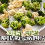 Broccoli and Cauliflower，Which One is Higher in Antioxidants？