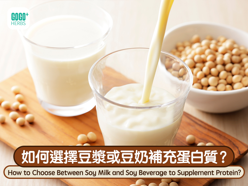 如何選擇豆漿或豆奶補充蛋白質？