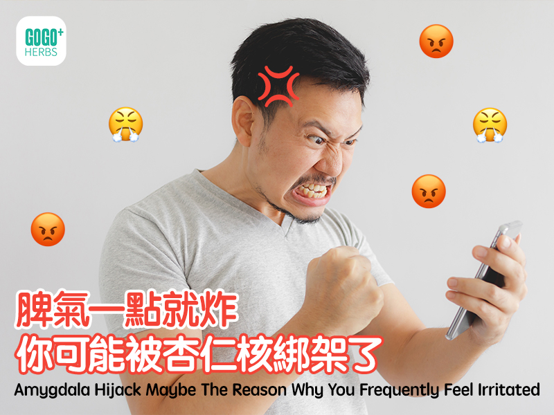 脾氣一點就炸，你可能被杏仁核綁架了