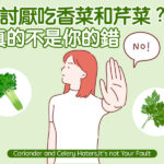討厭吃香菜和芹菜?真的不是你的錯