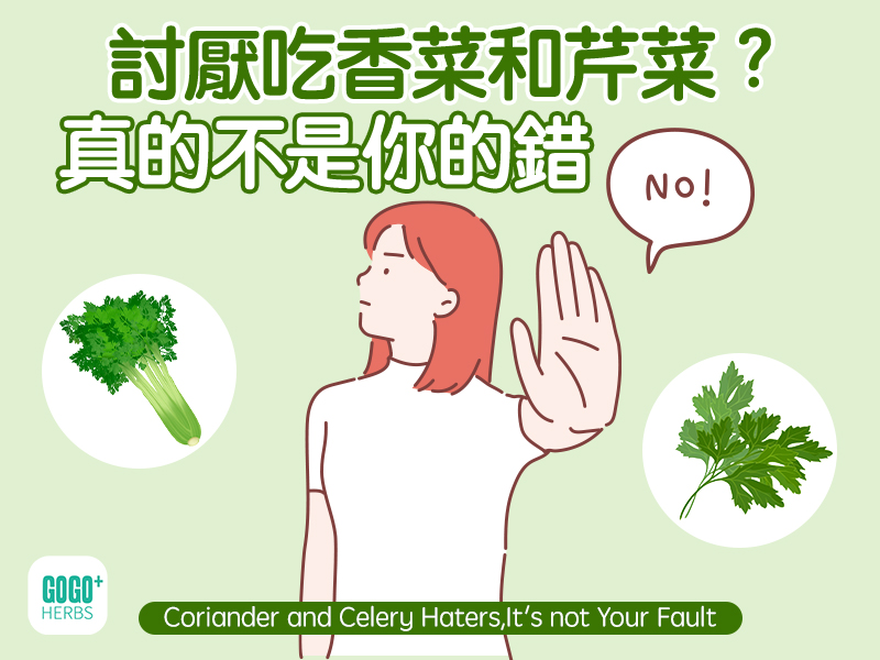 討厭吃香菜和芹菜?真的不是你的錯