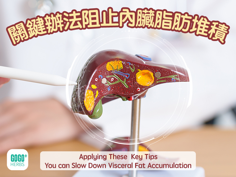 關鍵辦法阻止內臟脂肪堆積