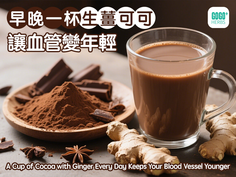 早晚一杯生薑可可 讓血管變年輕