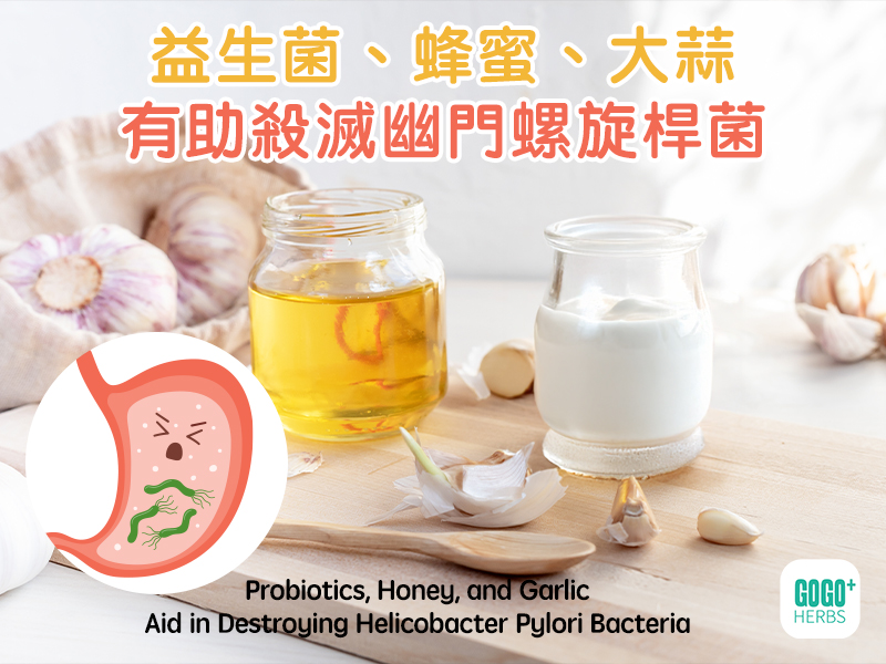 益生菌、蜂蜜、大蒜有助殺滅幽門螺旋桿菌